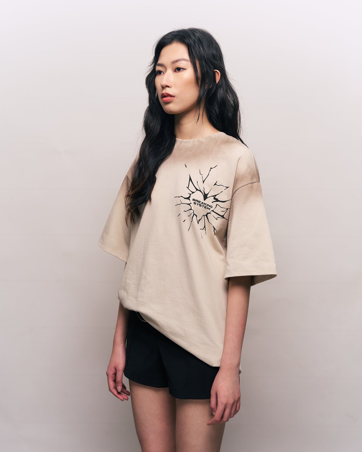 BREAKING SYSTEM BREAKING YOUR HEART TEE