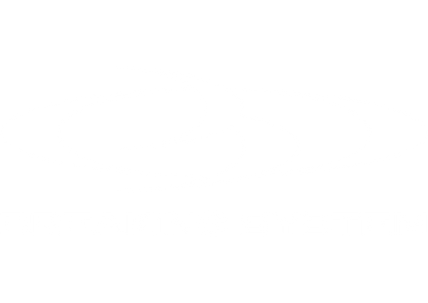Breaking System
